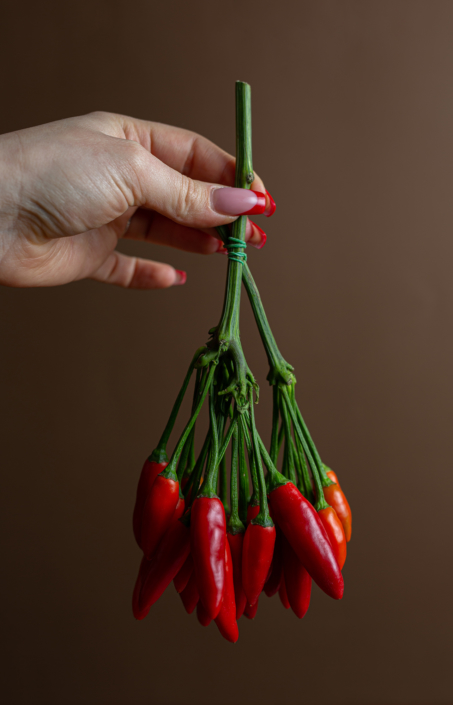 Fotografo ristoranti fotografo food