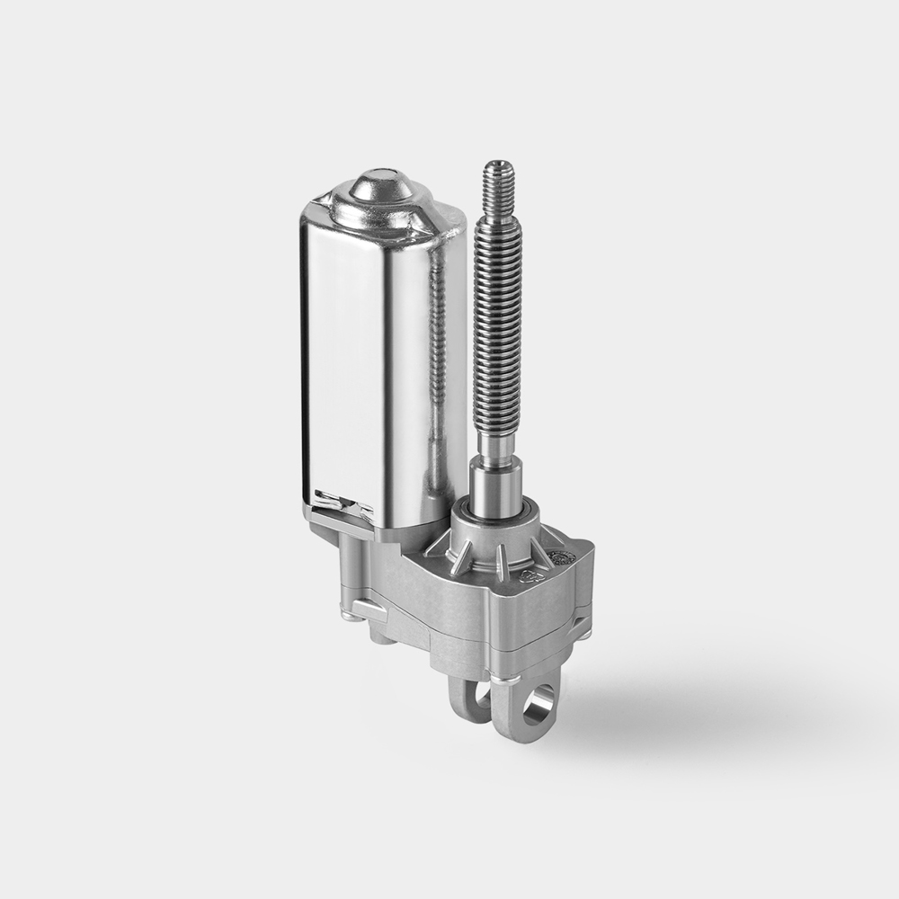 Fotografia Still Life